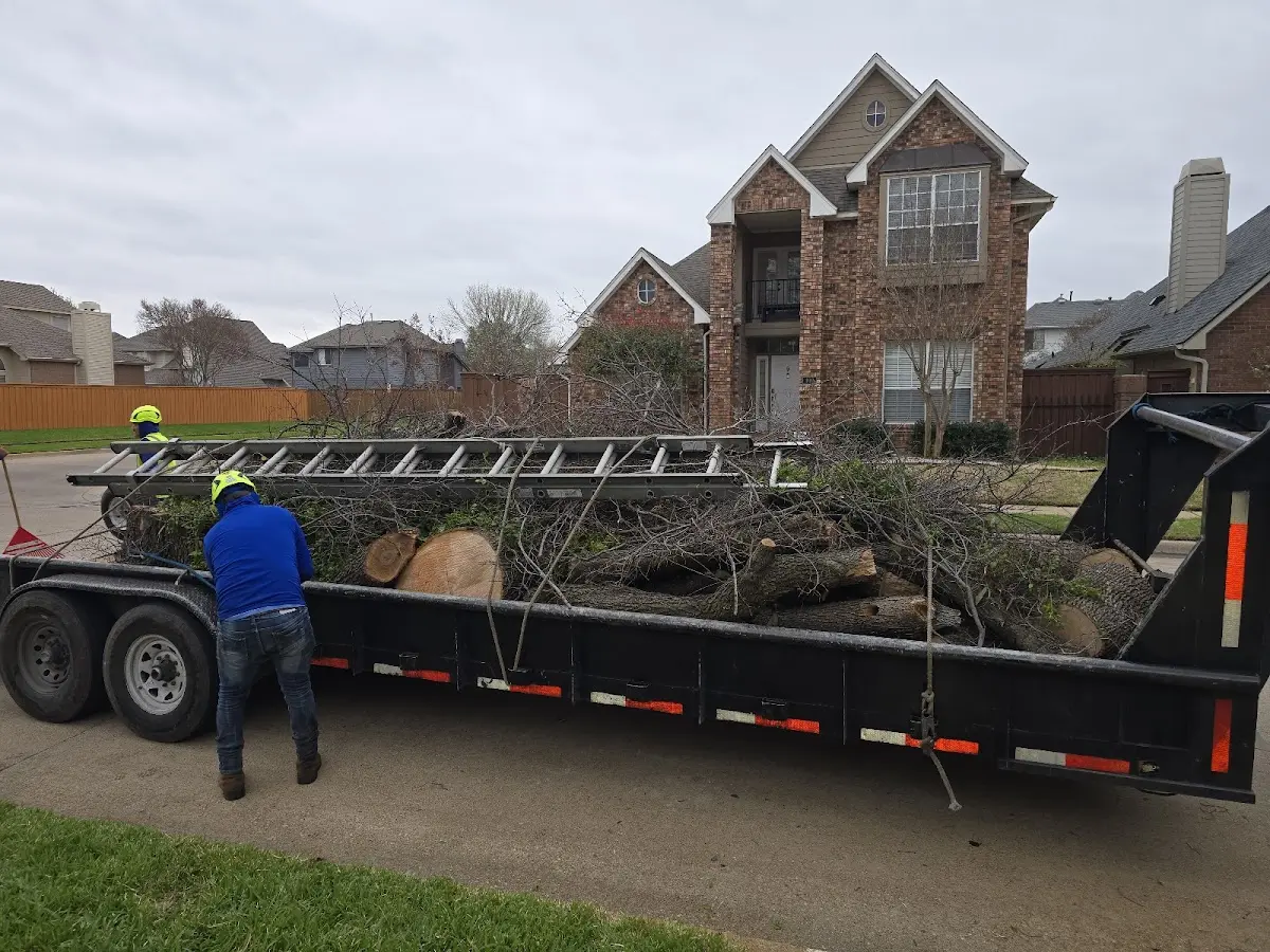 Expert Crown Reduction with proper safety equipment in Prairieton